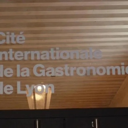 Le Cordeliers Presqu'ile Apartment Lyon